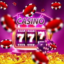 vty44 bingo phòng cơ bản