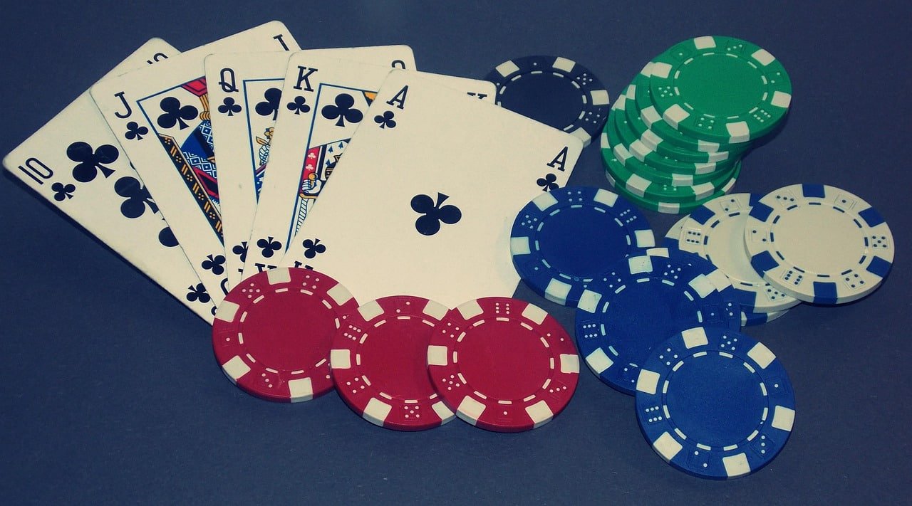 vty44 esports đặt kèo trực tuyến