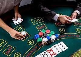 vty44 ứng dụng di động